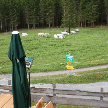 Gasthof Untere Valentinalm Hotel Plocken Exterior photo